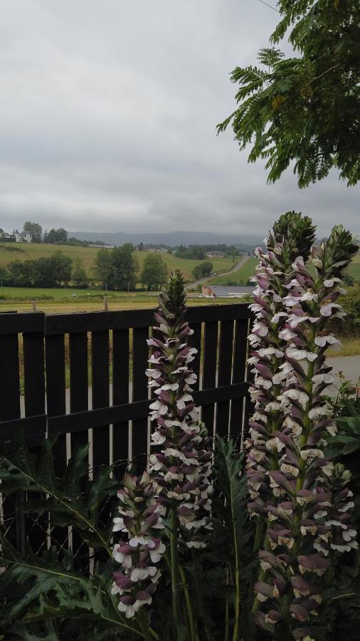 Holiday home Le Petit Couvent